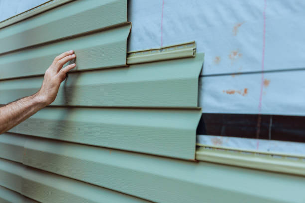 Best Vinyl Siding Installation  in Las Maravillas, NM